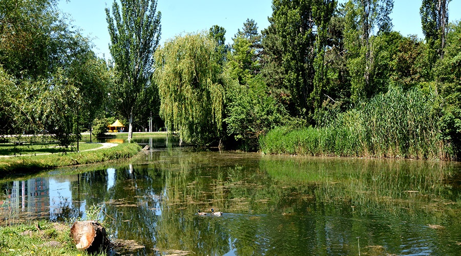 Труп нашли в пруду Гагаринского парка Симферополя