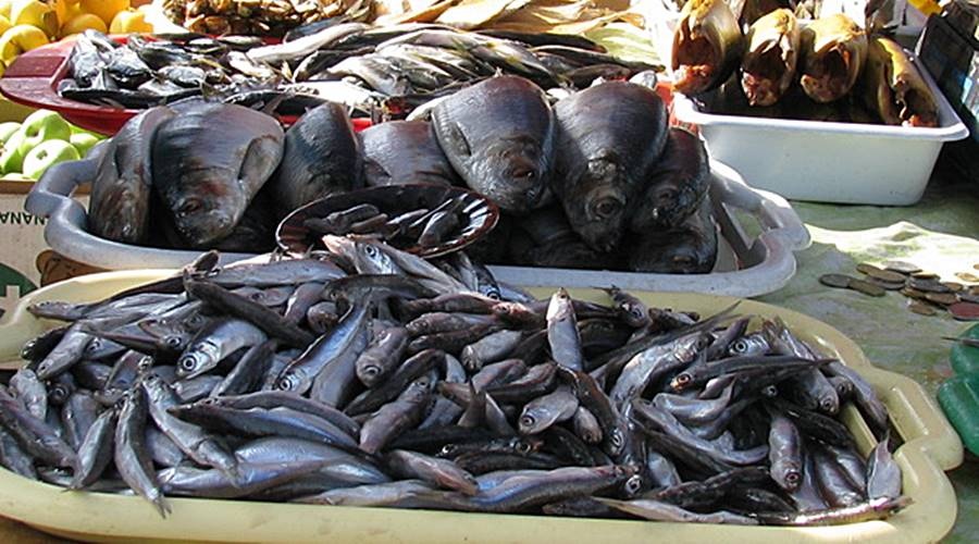 Роспотребнадзор выявил нарушения в половине проверенных точек продажи рыбы в Крыму