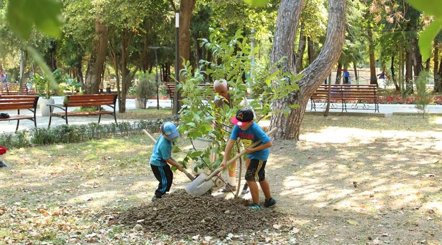 Детский парк Симферополя приглашает крымчан посадить свои семейные деревья в парке
