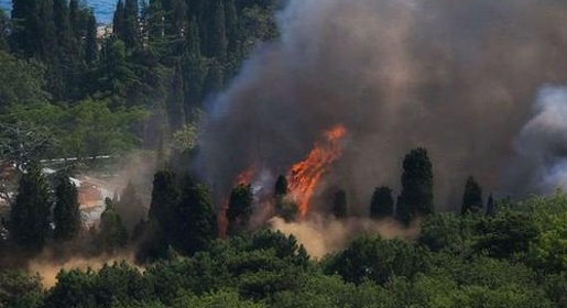 Пожар уничтожил кафетерий на территории санатория «Жемчужина» в Алупке
