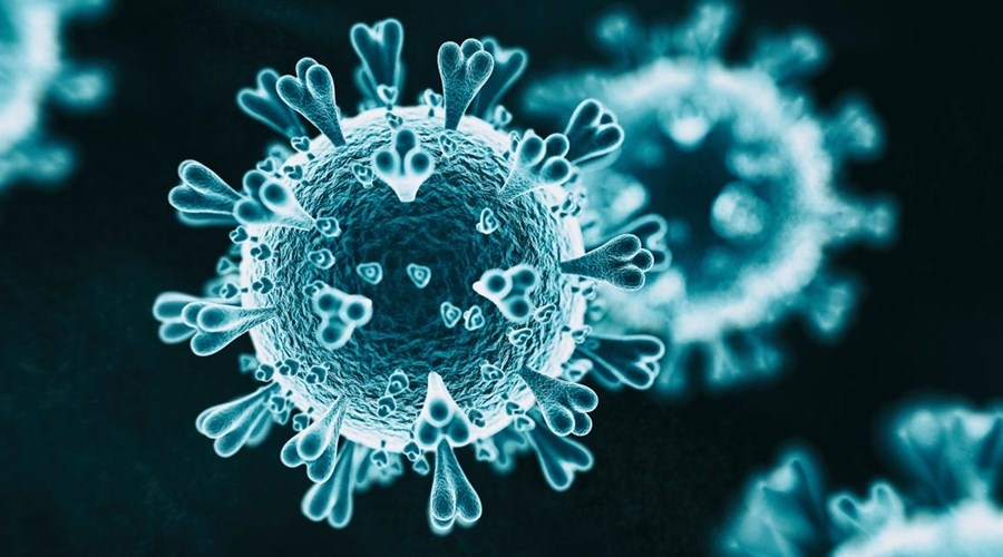 Новый случай заражения коронавирусом зарегистрирован в Ялте