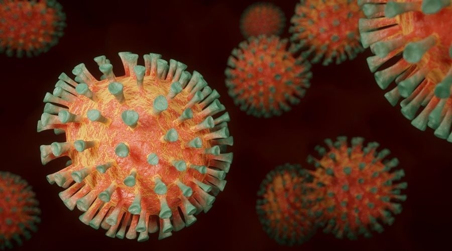 Медики подтвердили 161 случай коронавируса за сутки в Республике Крым