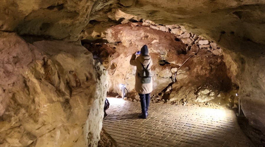 Пещеру «Таврида» с останками древних животных откроют для туристов к курортному сезону