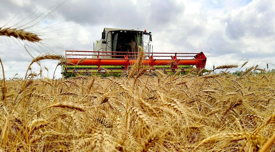 Крымские аграрии готовятся к севу зерновых под урожай 2021 года