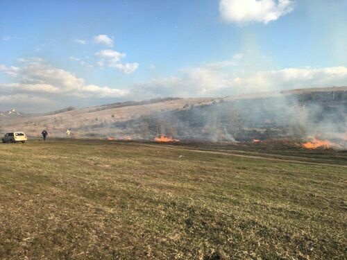 Опасные возгорания сухостоя площадью почти 5 га ликвидированы в Крыму в минувшие сутки