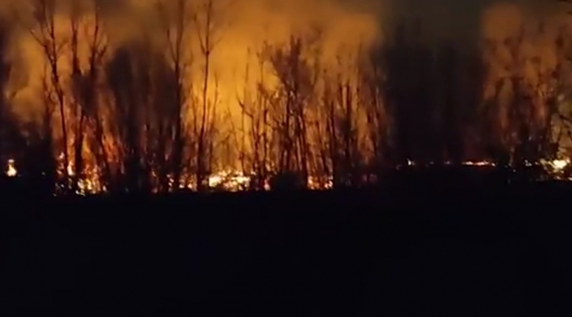 Заброшенный ангар сгорел на неработающей птицефабрике «Южная» под Симферополем