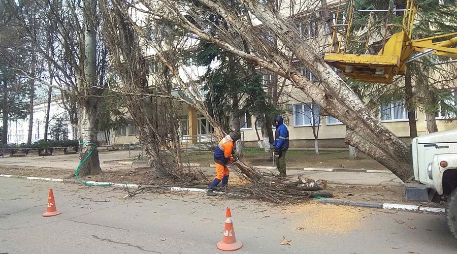 Симферопольские коммунальщики спилили и вывезли поваленные ветром деревья