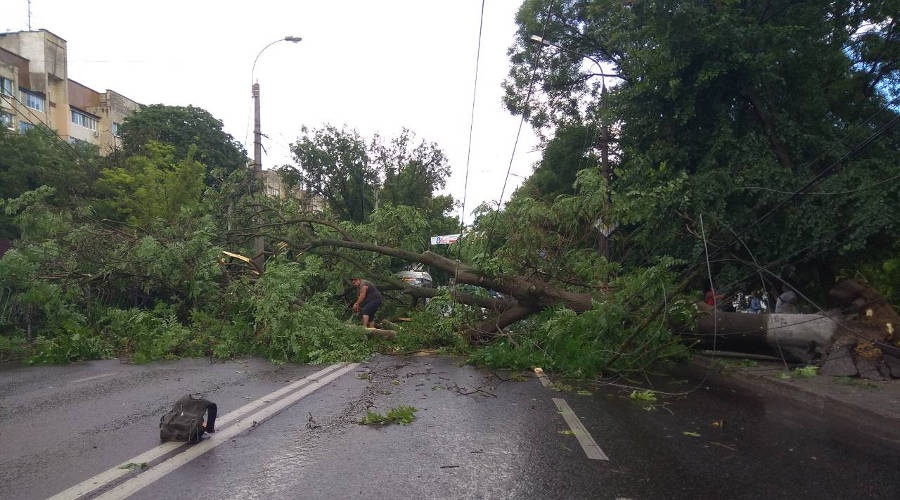 Власти Симферополя назвали наиболее пострадавшую от ураганного ветра улицу