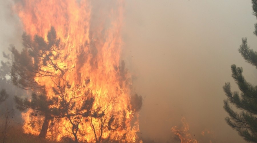 Спасатели предупредили о чрезвычайной пожарной опасности в Крыму