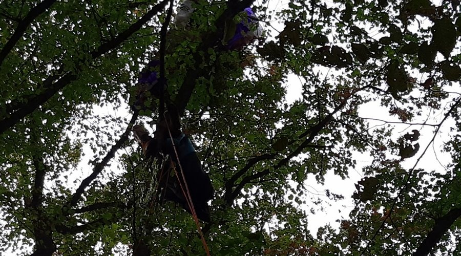 Спасатели сняли с 10-метровой высоты зависшего на деревьях парапланериста