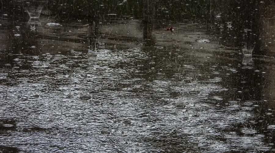 Четыре дня непогоды ожидаются в Крыму