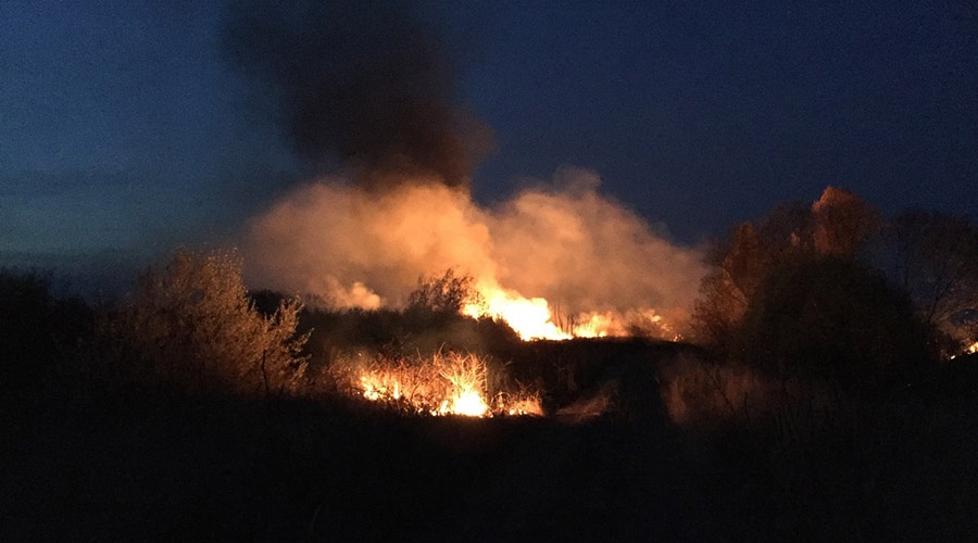 Огонь уничтожил за сутки семь гектаров сухостоя в Крыму