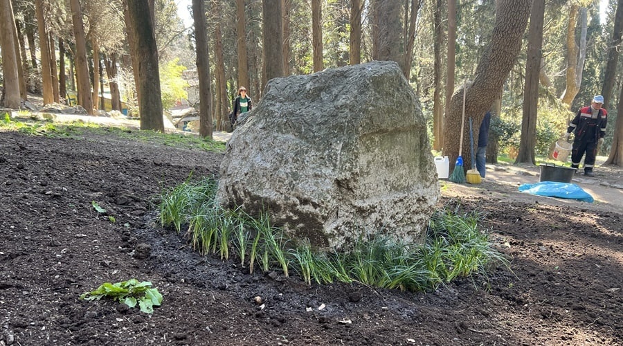Не изученная ранее могила сестры Чехова обнаружена в Ялте