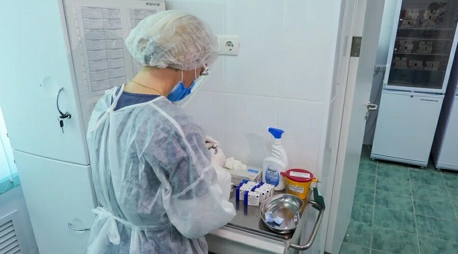 Два всплеска заболеваемости ОРВИ и гриппом ждут Россию до начала марта