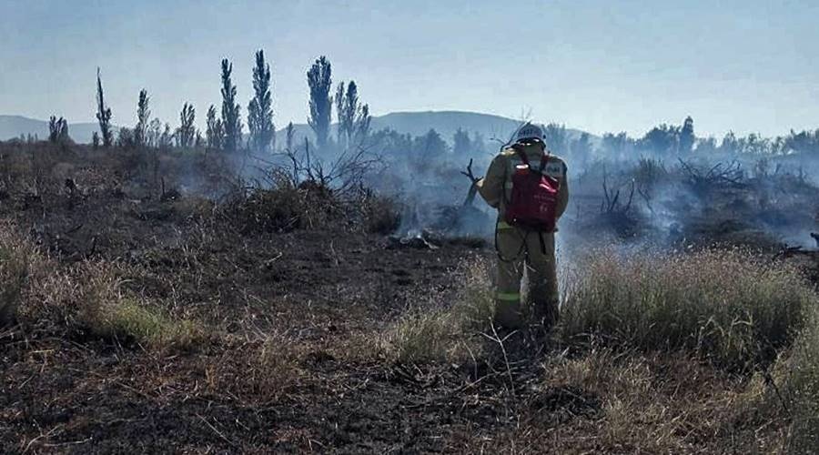 Три гектара лесной подстилки горят в Симферопольском районе
