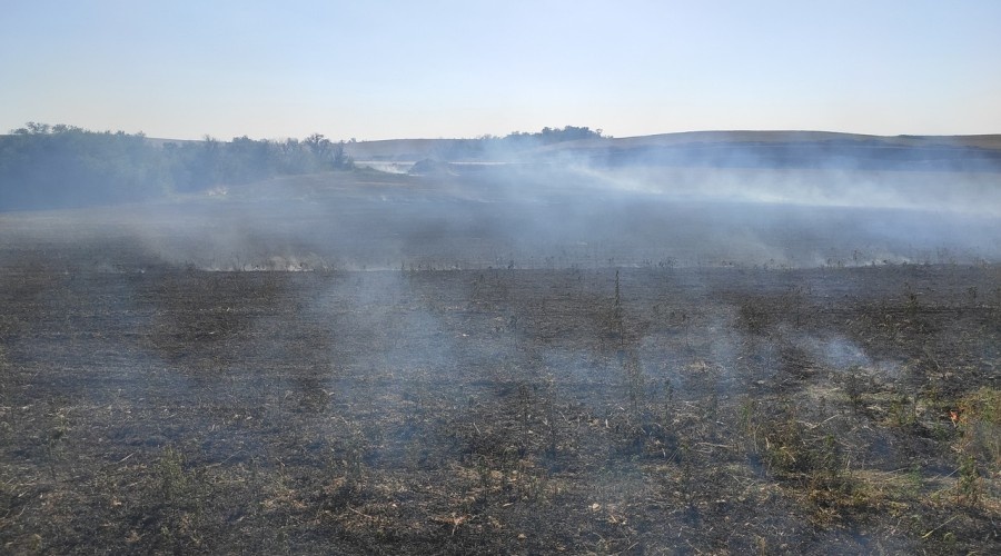 Полтора гектара сухостоя сгорели в Симферопольском районе 