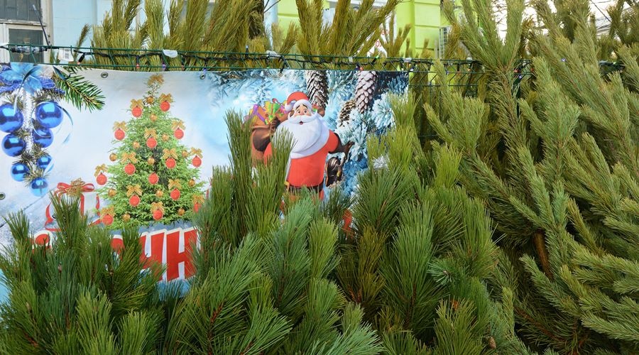 Ёлочные базары откроются в Симферополе в середине декабря