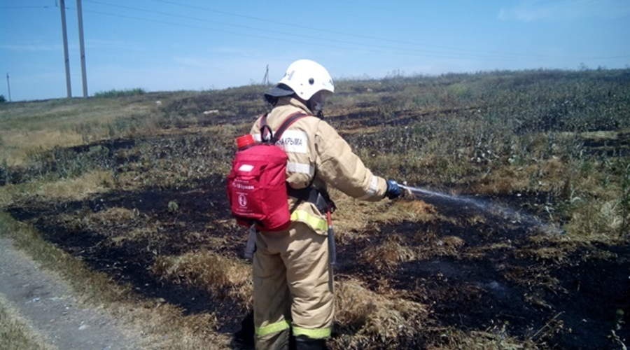 Бойцы МЧС спасли от пожара урожай пшеницы в Кировском районе