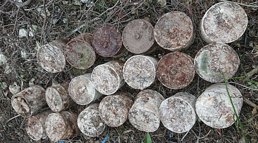 Два десятка противотанковых гранат нашли в лесу под Севастополем