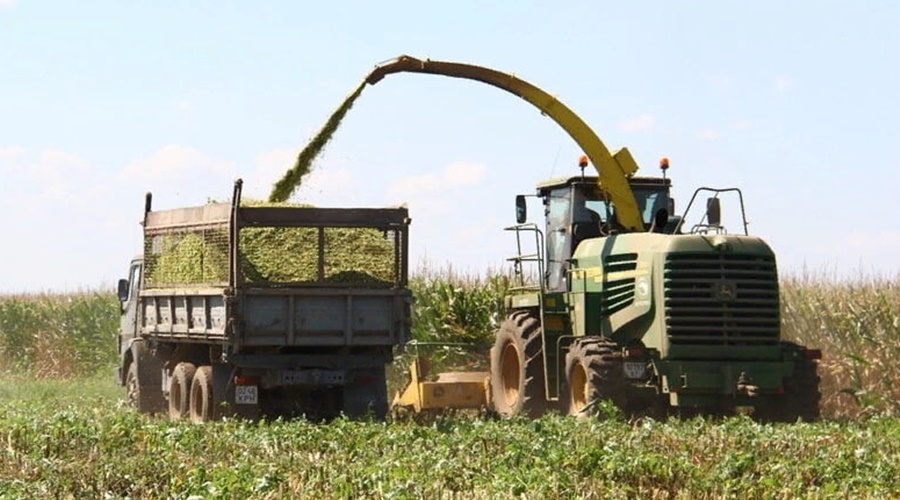 Первая сельскохозяйственная микроперепись будет проходить в Крыму в течение всего августа
