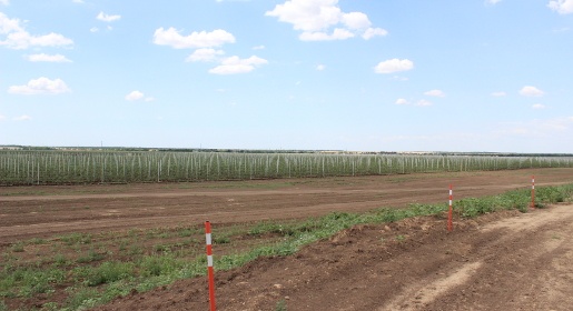 Минсельхоз России изучит планы по увеличению площади орошаемых земель в Крыму (ФОТО)
