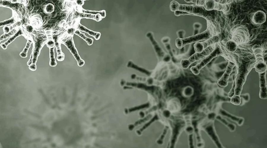 Четыре человека с подтвержденным коронавирусом скончались в Крыму за сутки