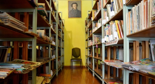 Маленькая проблема для культуры, большая – для села: библиотека в Мирном разваливается на глазах