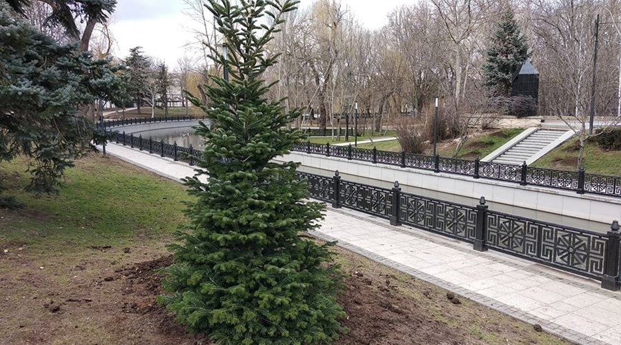 Симферопольцы высадили больше 70 деревьев в парке Гагарина  