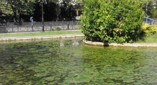 Общественник попенял симферопольской администрации на нечищеные пруды возле фонтана Савопуло (ФОТО)