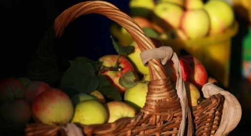 Крымские садоводы ожидают рекордный за 10 лет урожай яблок