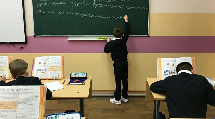 Всероссийские проверочные работы для школьников предложили отменить