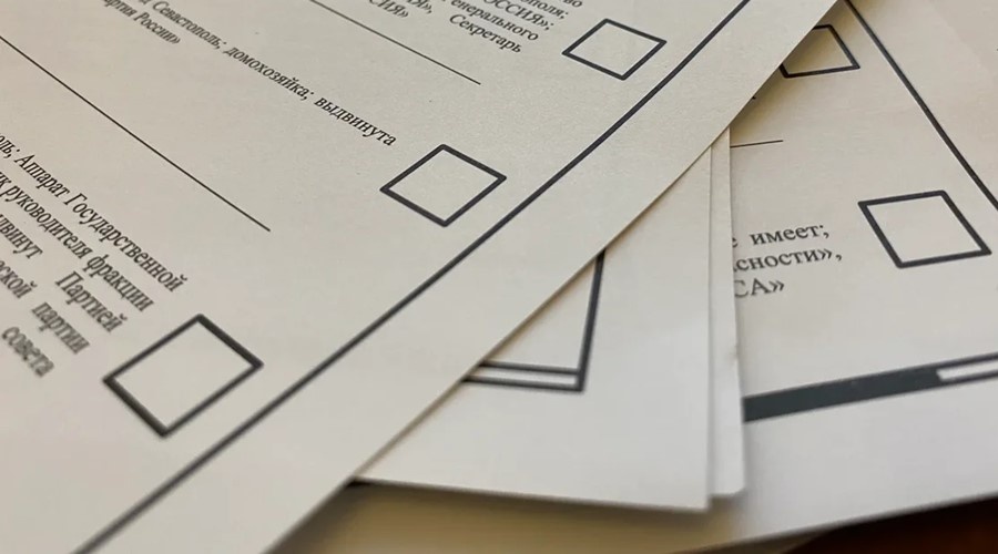 Лицам с двойным гражданством могут запретить быть доверенными на выборах в России
