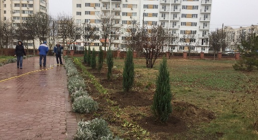Весенняя акция по высадке зеленых насаждений прошла в Евпатории (ФОТО)