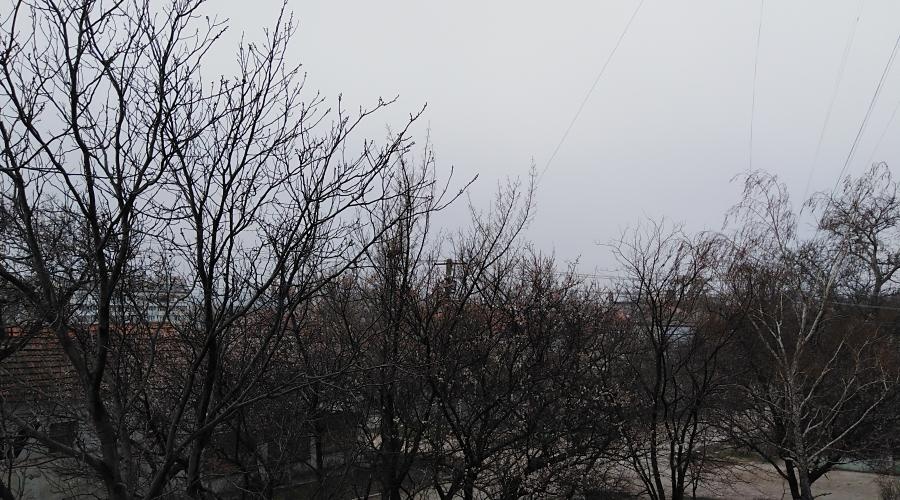 Заморозки продолжатся в Крыму до середины недели