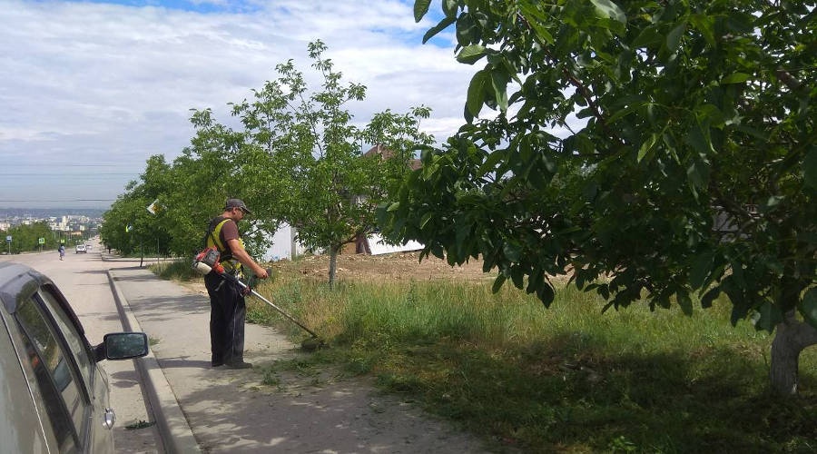 Симферопольские коммунальщики за неделю выкосили 140 тысяч квадратных метров травы