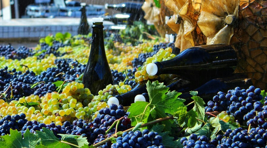Кения хочет покупать у Крыма пищевую продукцию и вино