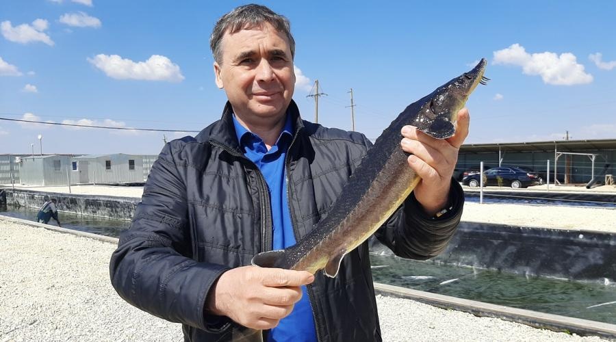 Фермеры Крыма вырастили в первом квартале на 16 тонн аквакультуры больше, чем год назад