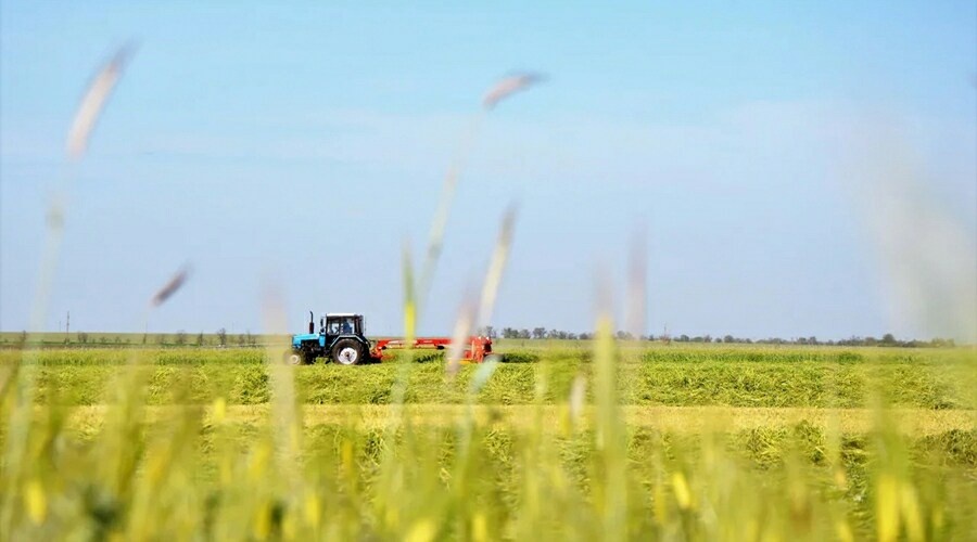 Систему оказания господдержки аграриям в онлайн-режиме могут внедрить в Крыму