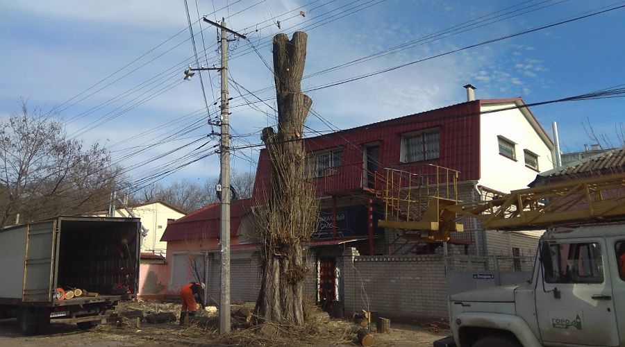 Сотрудники симферопольского «Города» очистили улицы от поваленных ветром деревьев