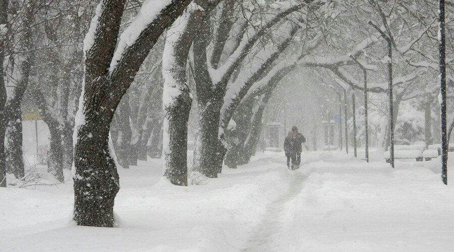 Синоптики рассказали о высоте снежного покрова в Крыму