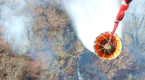 Спасатели потушили лесной пожар под Симферополем