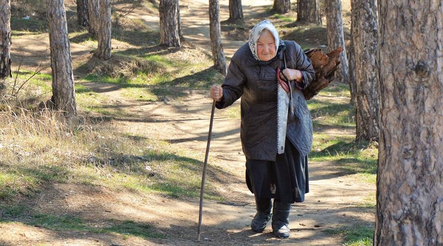 Почти 80 долгожителей в возрасте более 100 лет проживают в Республике Крым