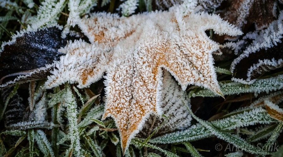 Морозы до 15 градусов ниже нуля ожидаются в Крыму с выходных