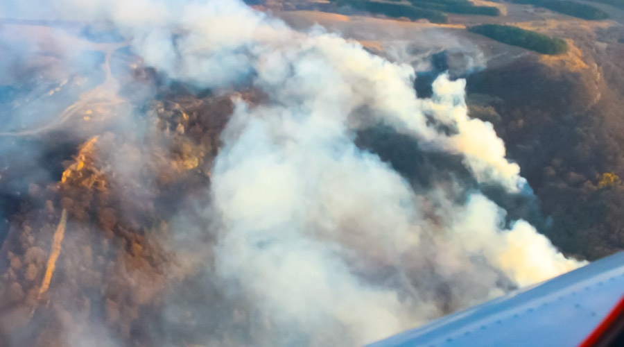 Лесной пожар под Симферополем локализован на площади более 50 га