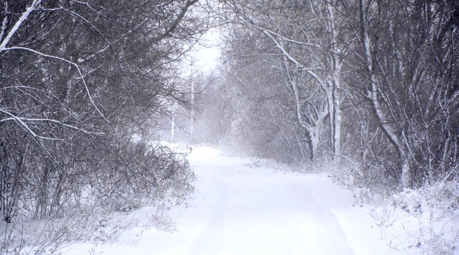 Сильный ветер и дождь со снегом ожидаются в Крыму в первый день зимы