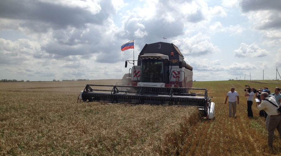 Крымские сельхозпредприятия намолотили 1,5 млн тонн зерна