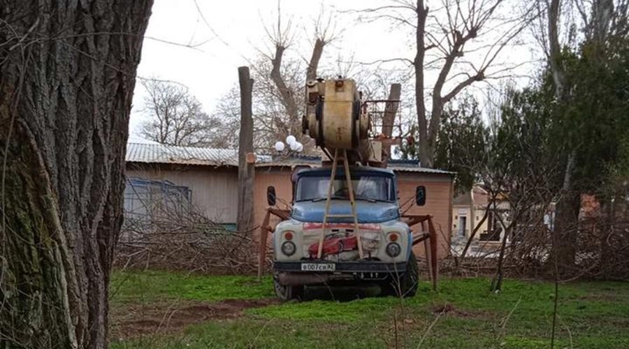 Полиция ищет свидетелей незаконной вырубки деревьев в парке Фрунзе в Евпатории