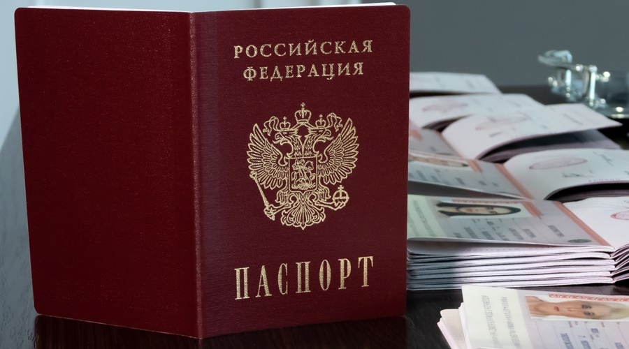 Жители новых регионов РФ уже оформили более 70 тыс сертификатов на маткапитал