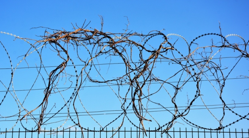 Возвращавшийся с рыбалки военный избил сторожа баптистской церкви в Крыму