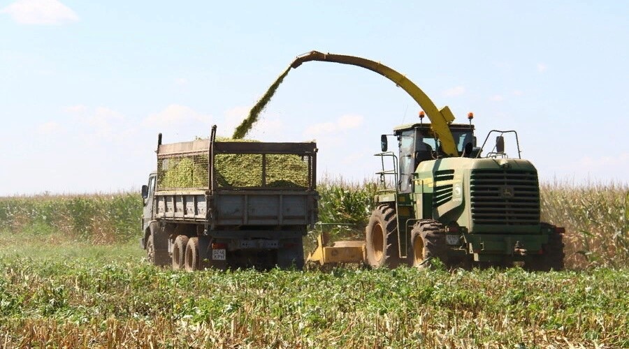 Экспорт сельхозпродукции из Крыма превысил плановые показатели